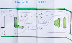 gymkhana course